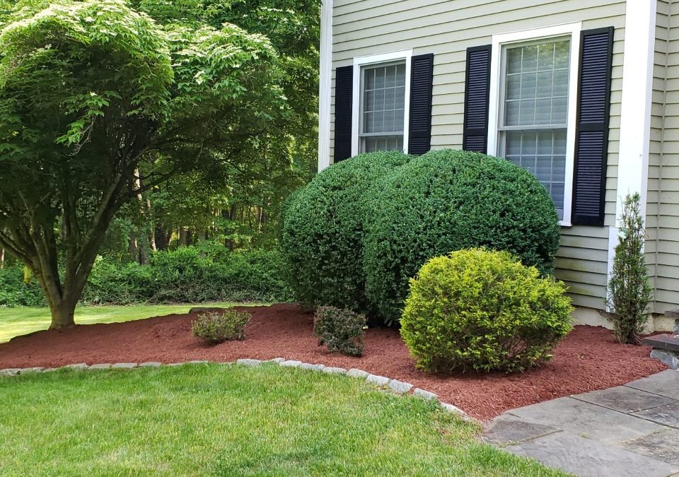 Best Tree & Shrub Planting | Garden Beds | Newtown, CT