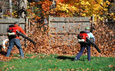 Fall Season Yard Cleanup & Leaf Removal in Newtown, CT